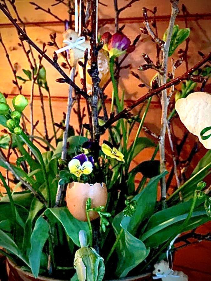 Appartement Emilia Hallstatt Ngoại thất bức ảnh