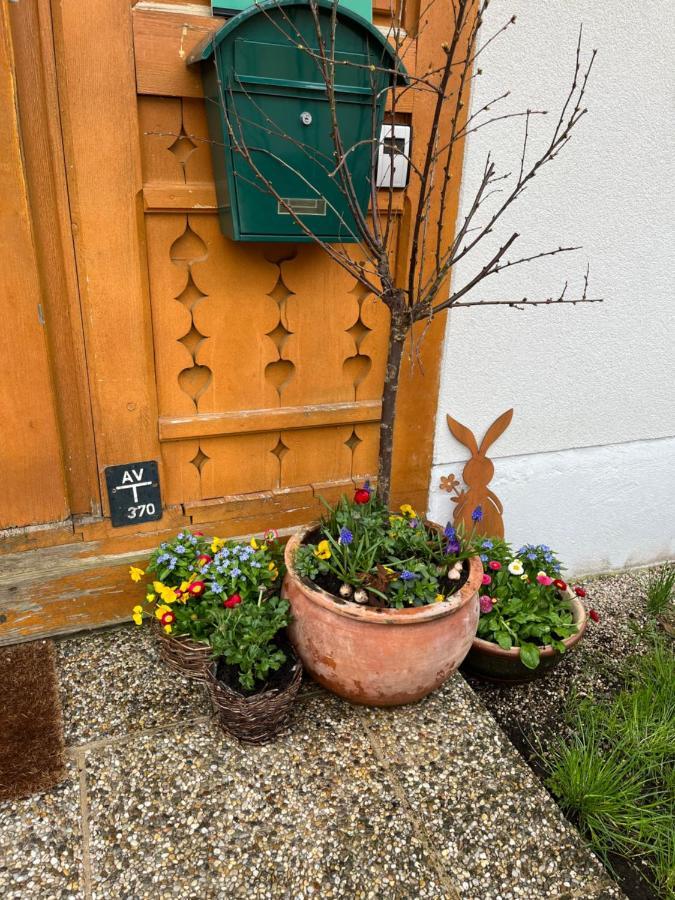 Appartement Emilia Hallstatt Ngoại thất bức ảnh